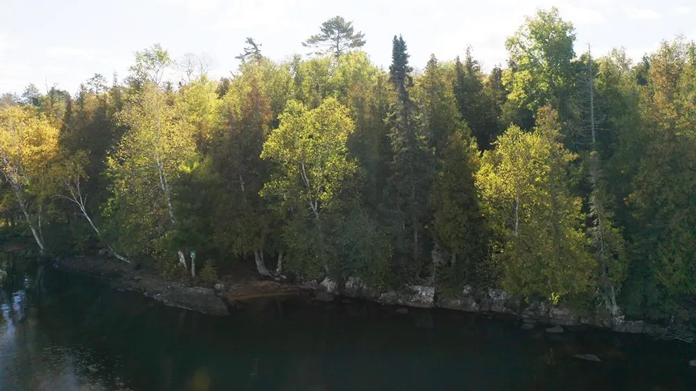 5497 Pine Island Tower, MN 55790