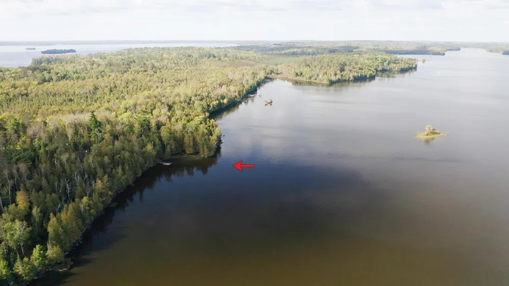 5497 Pine Island Tower, MN 55790