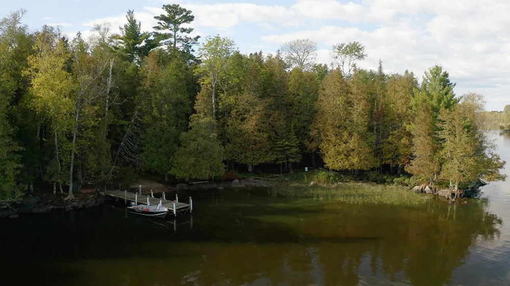 5497 Pine Island Tower, MN 55790