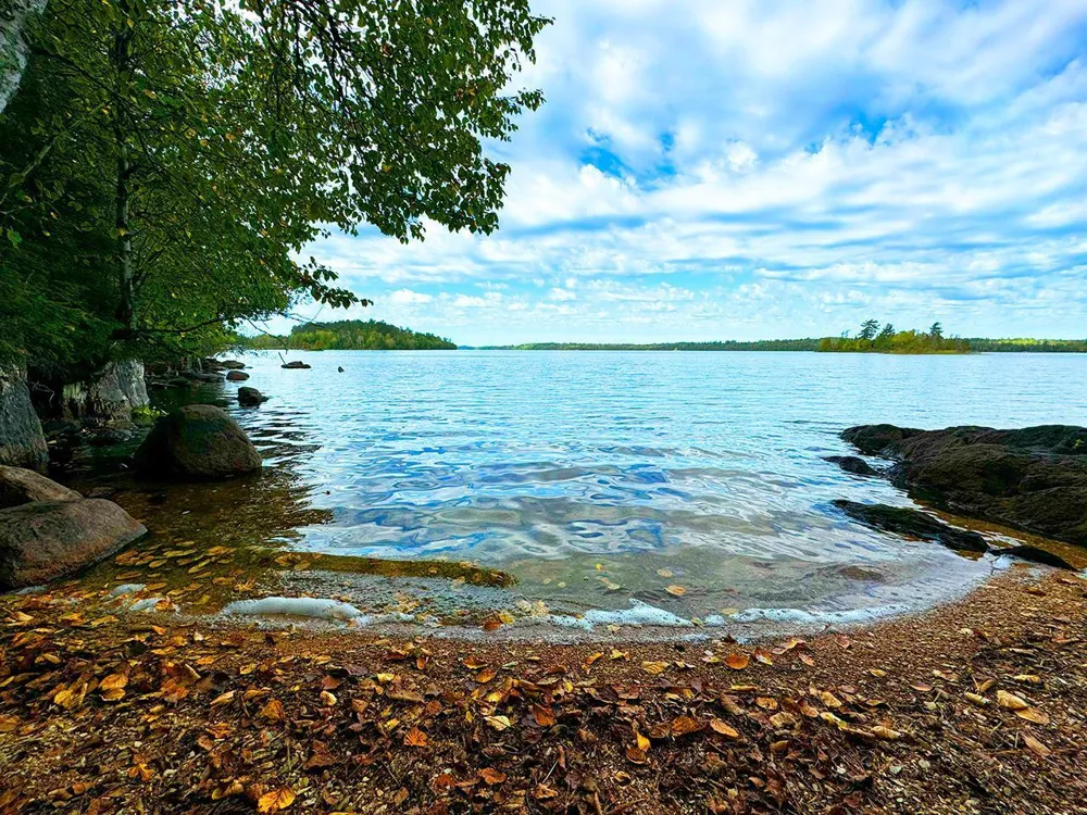 5497 Pine Island Tower, MN 55790