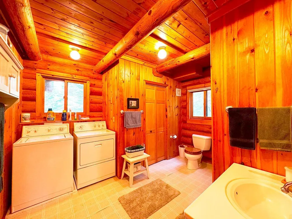 5497 Pine Island Tower, MN 55790