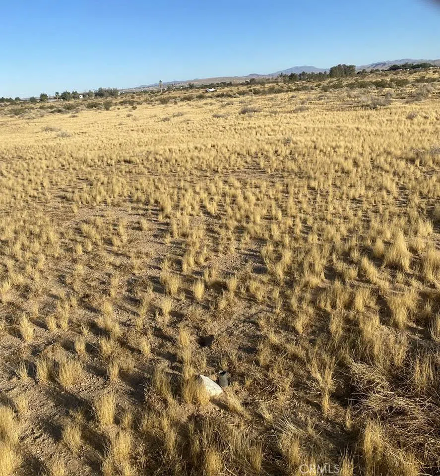 Serra Road Hinkley, CA 92347