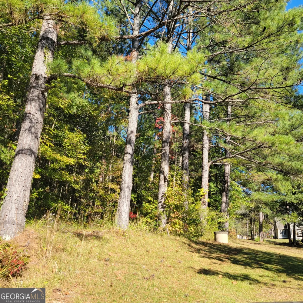 0 Bohannon Grantville, GA 30220