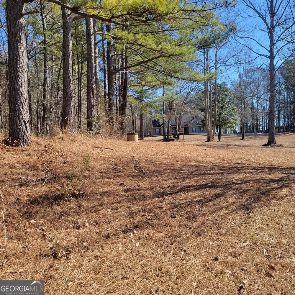 0 Bohannon Grantville, GA 30220
