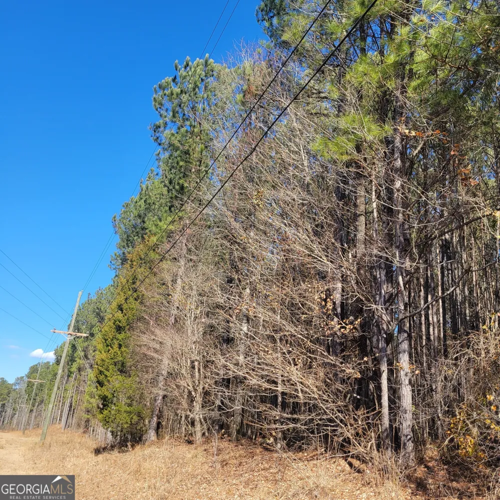 0 Bohannon Grantville, GA 30220