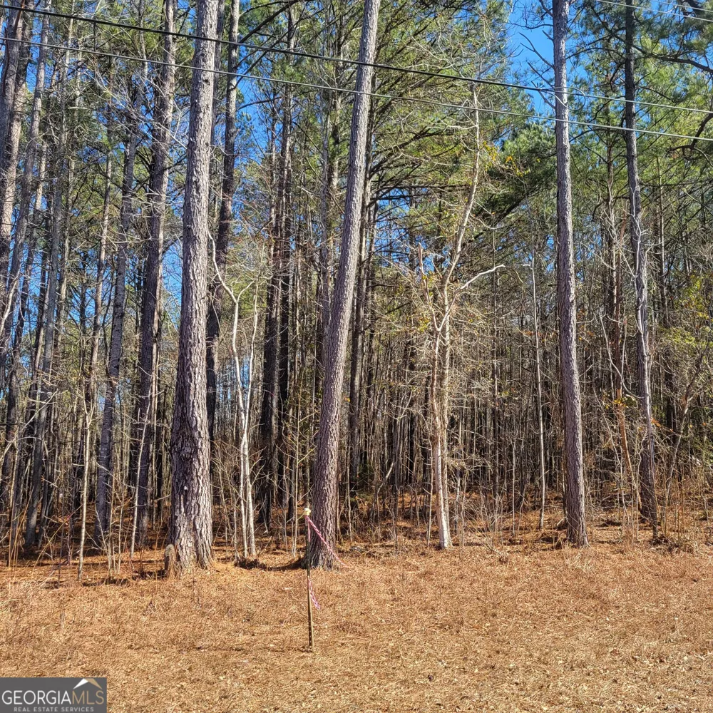 0 Bohannon Grantville, GA 30220