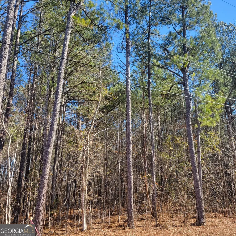 0 Bohannon Grantville, GA 30220