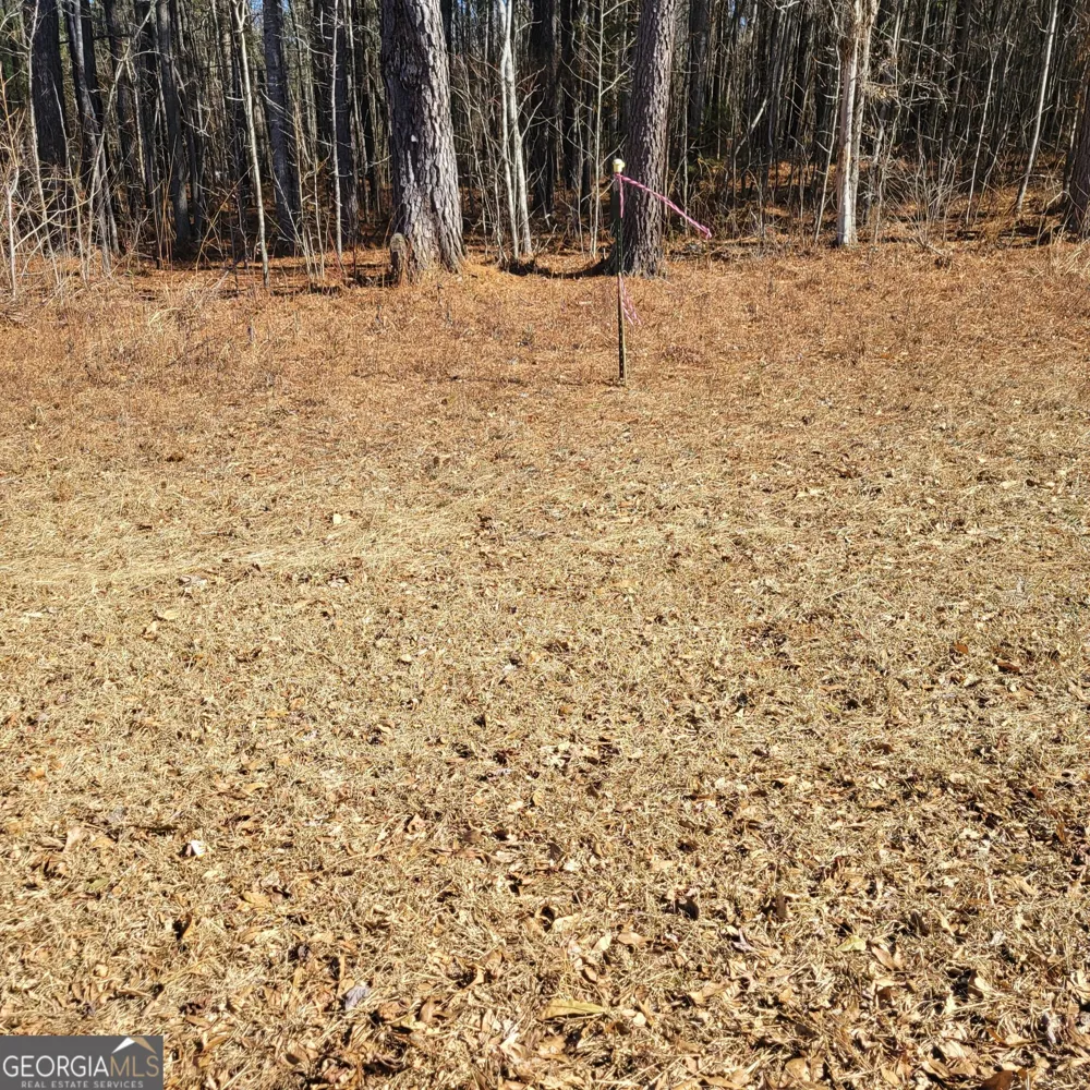 0 Bohannon Grantville, GA 30220