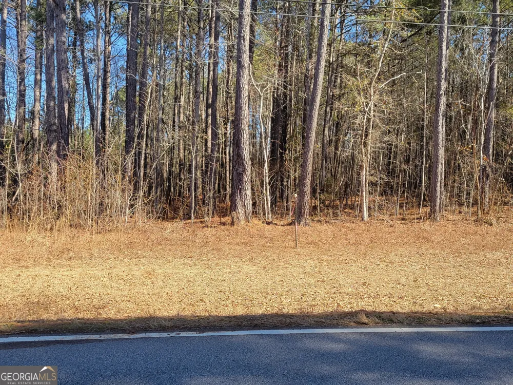 0 Bohannon Grantville, GA 30220
