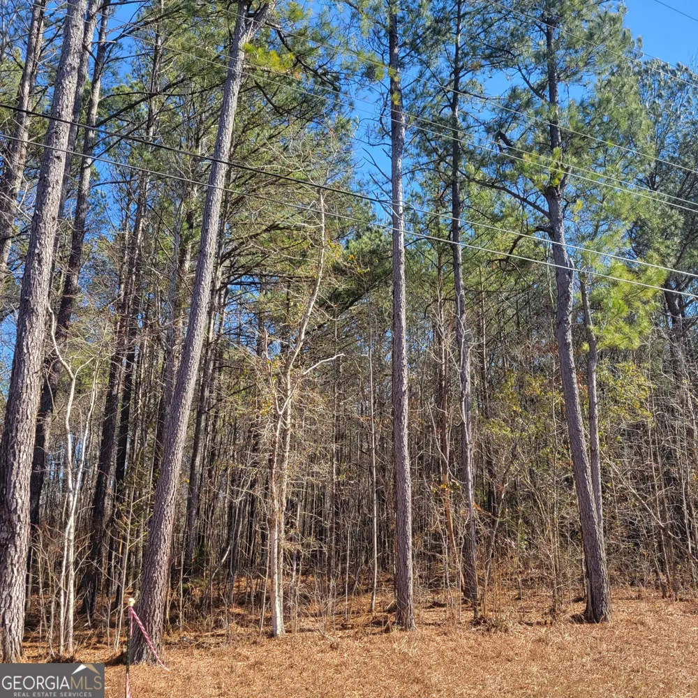 0 Bohannon Grantville, GA 30220
