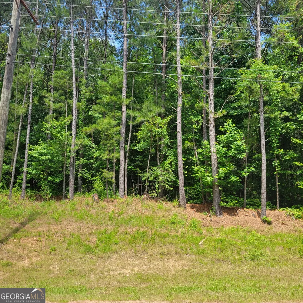 0 Bohannon Grantville, GA 30220