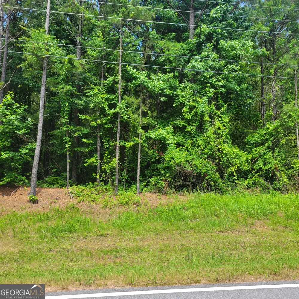 0 Bohannon Grantville, GA 30220