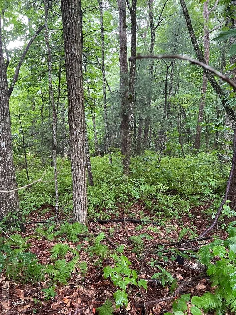 Lot 40 Narrows Road Sapphire, NC 28774