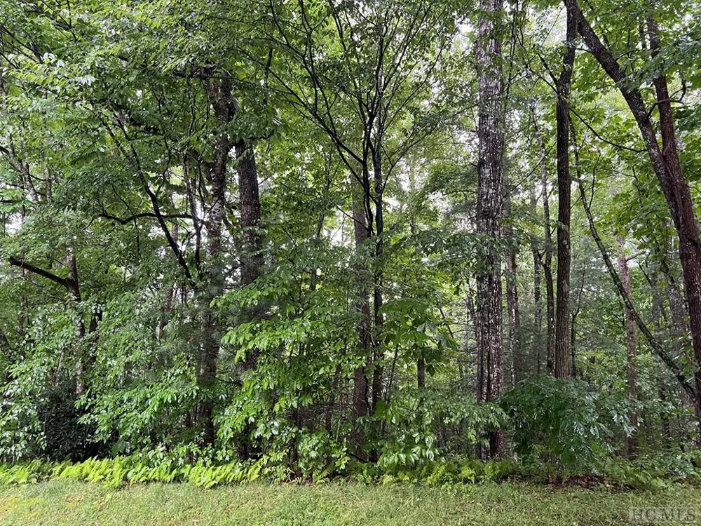 Lot 40 Narrows Road Sapphire, NC 28774
