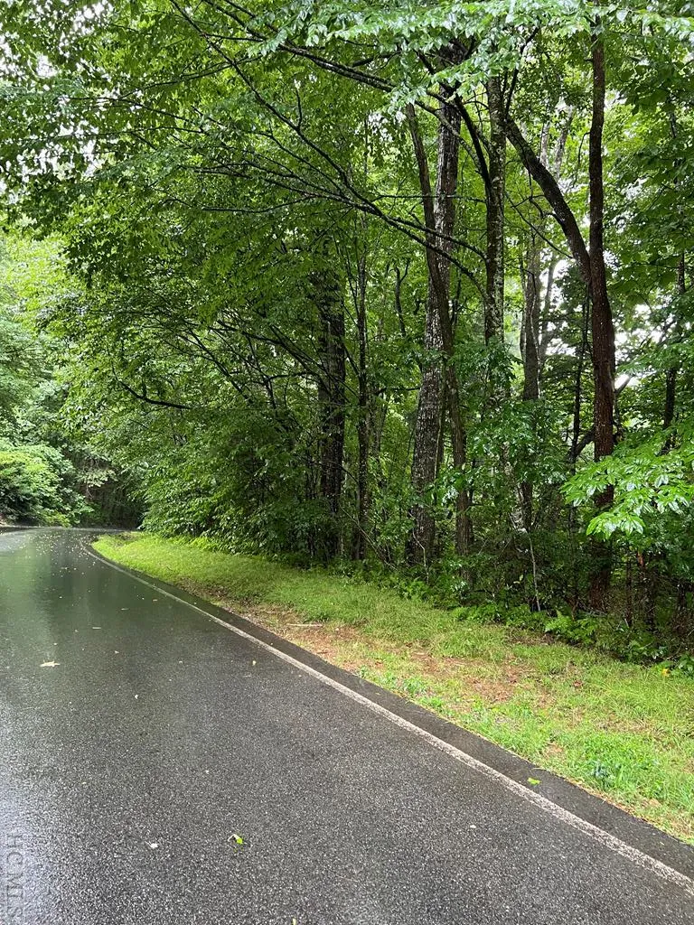 Lot 40 Narrows Road Sapphire, NC 28774