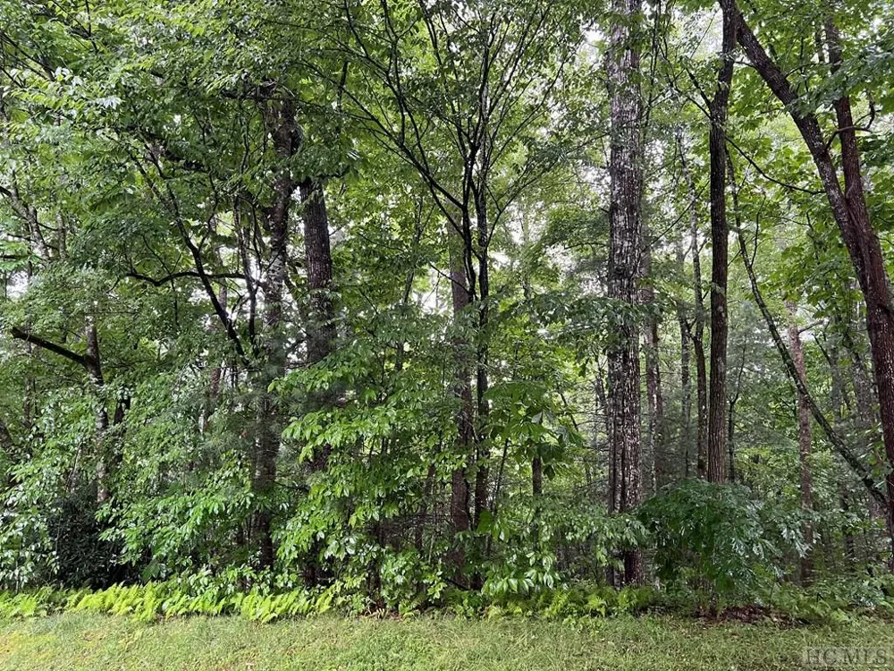 Lot 40 Narrows Road Sapphire, NC 28774