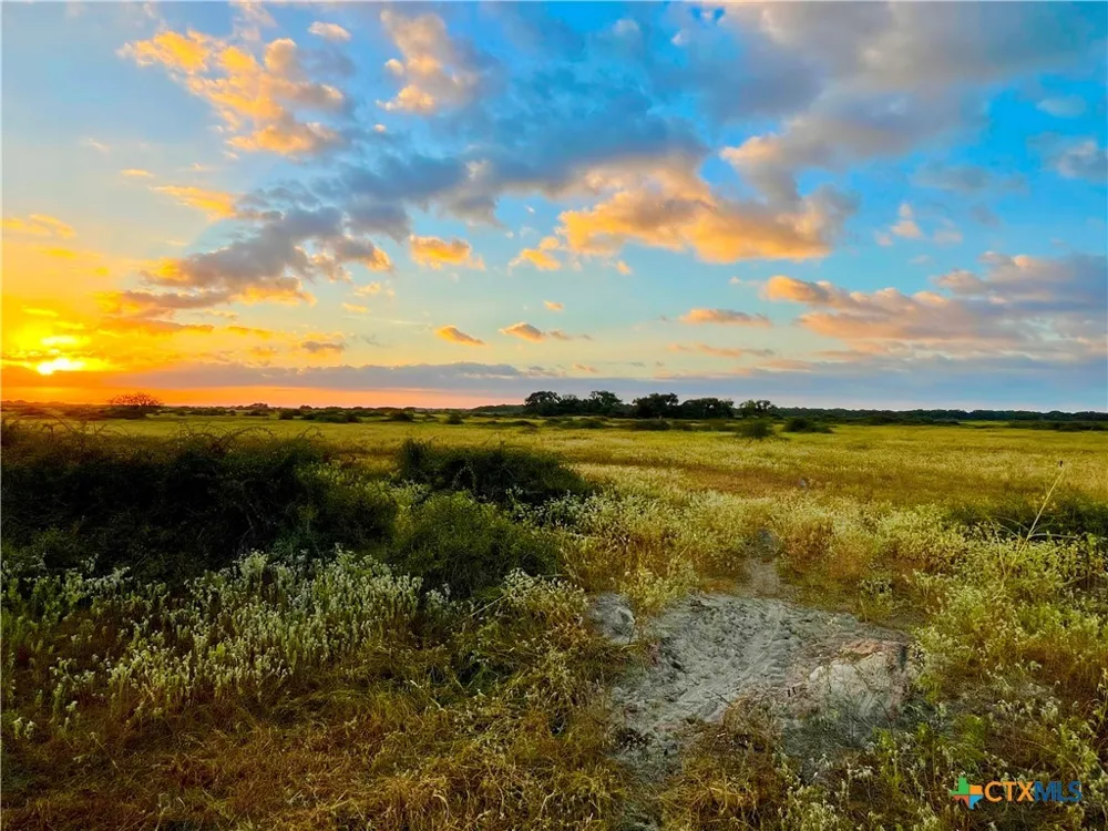 FM 530 Hallettsville, TX 77964