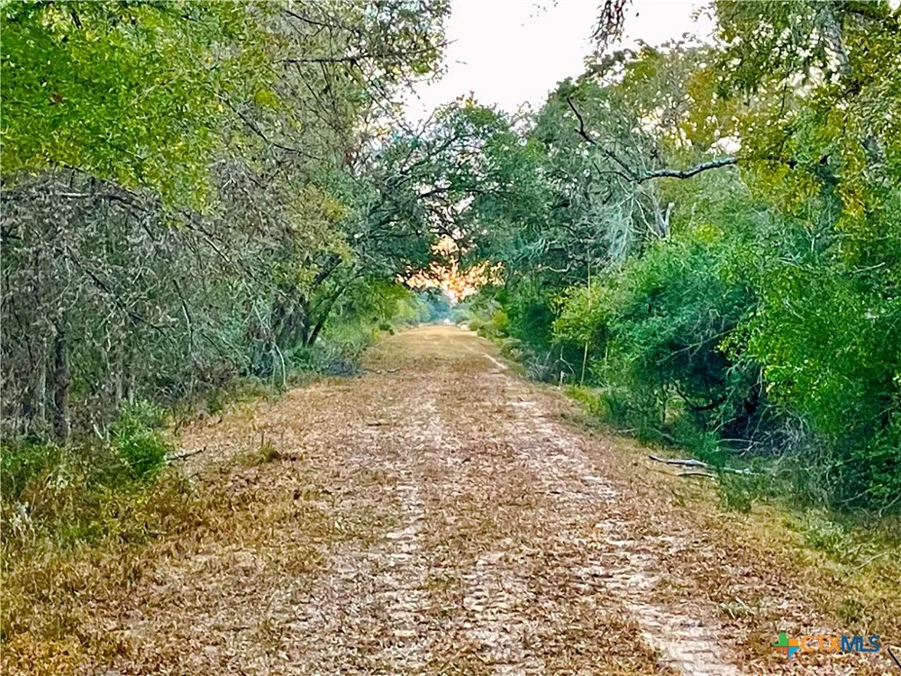 FM 530 Hallettsville, TX 77964