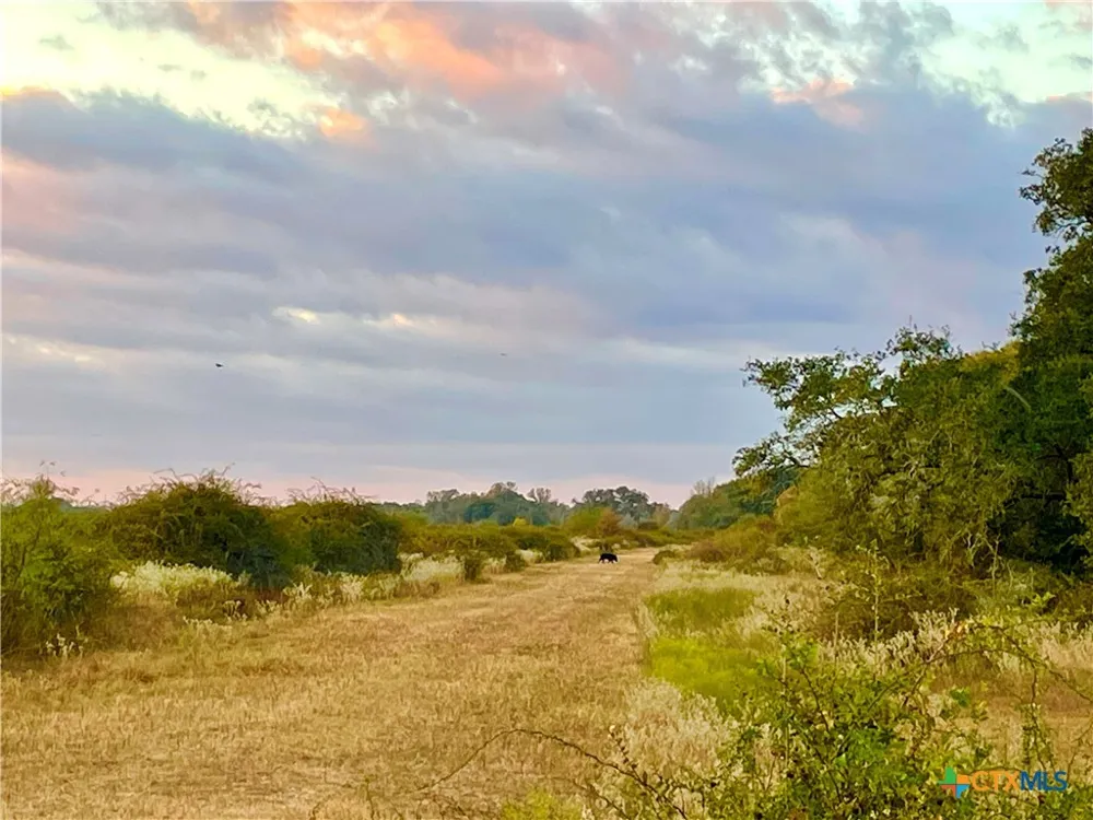 FM 530 Hallettsville, TX 77964