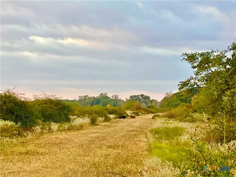 FM 530 Hallettsville, TX 77964