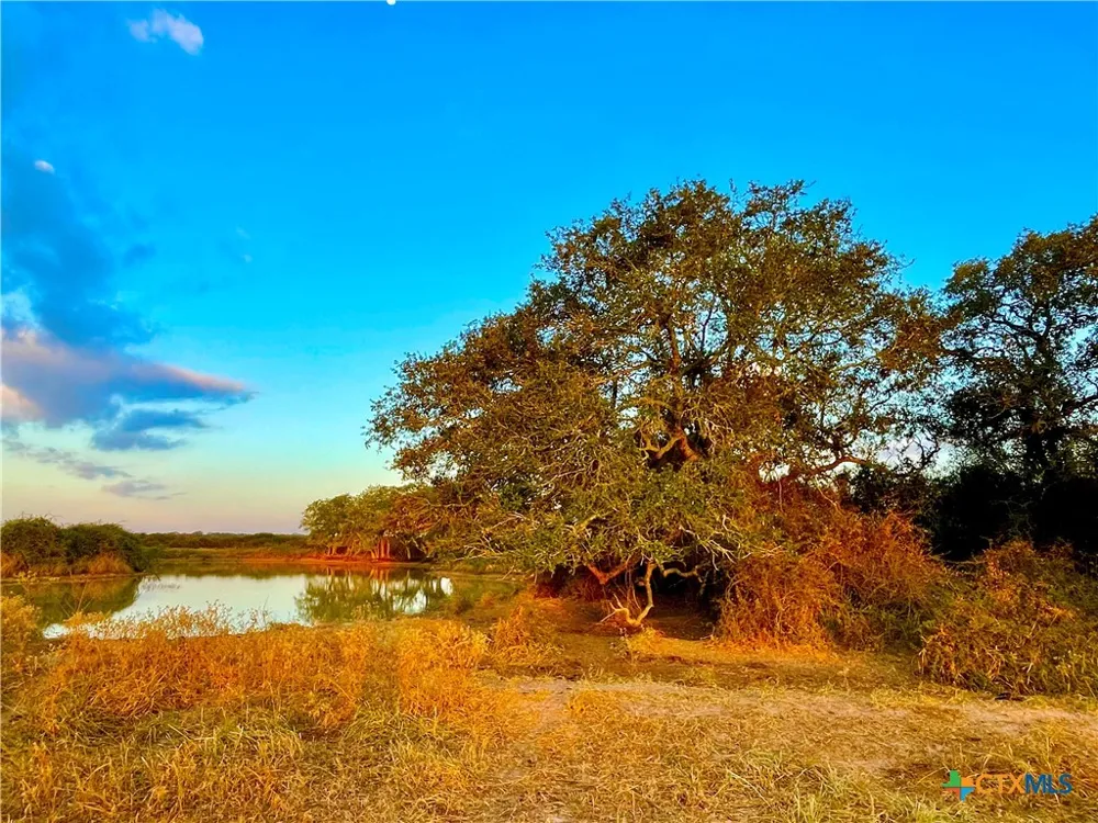 FM 530 Hallettsville, TX 77964