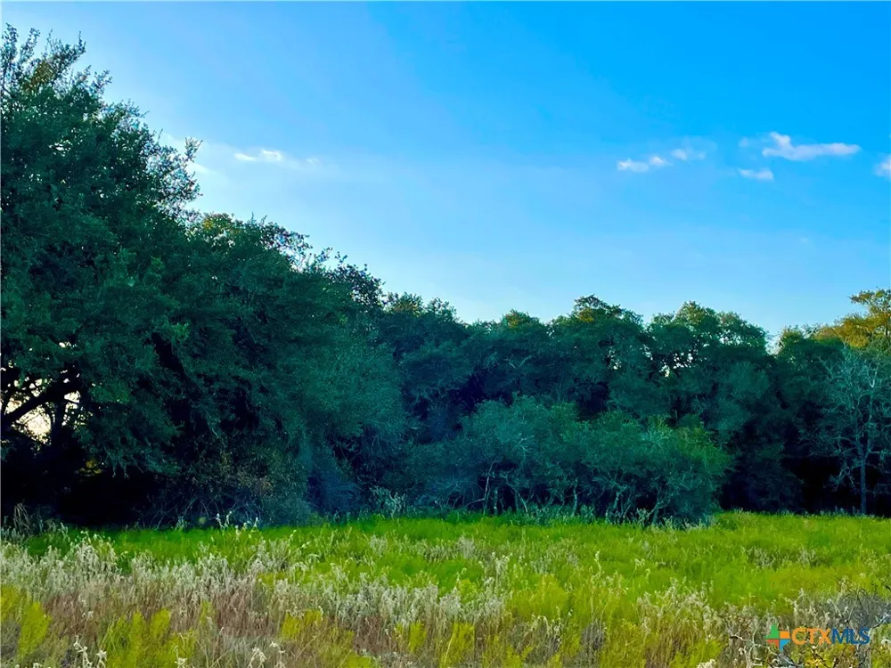 FM 530 Hallettsville, TX 77964