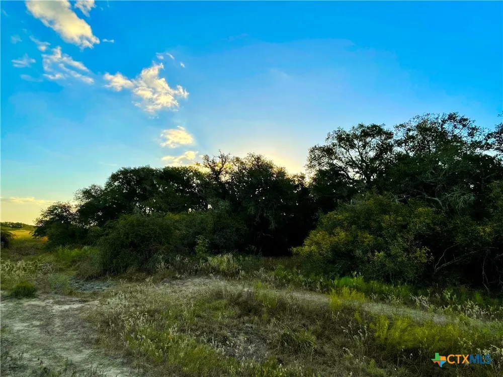 FM 530 Hallettsville, TX 77964