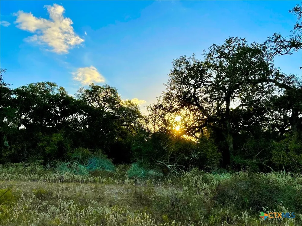 FM 530 Hallettsville, TX 77964