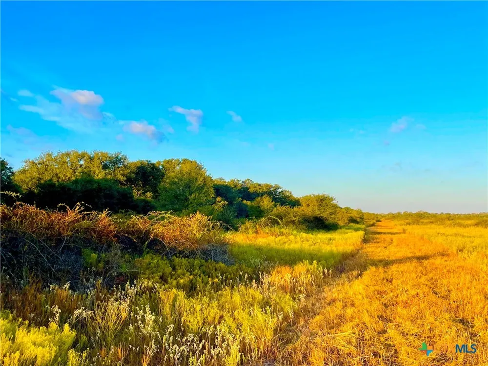 FM 530 Hallettsville, TX 77964