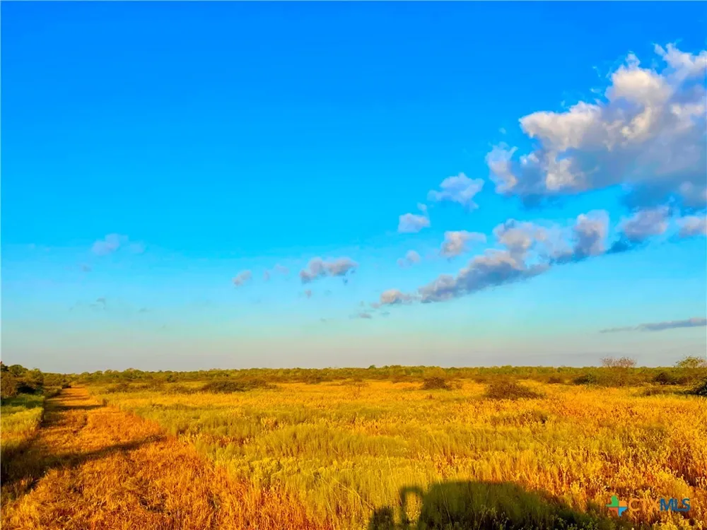 FM 530 Hallettsville, TX 77964