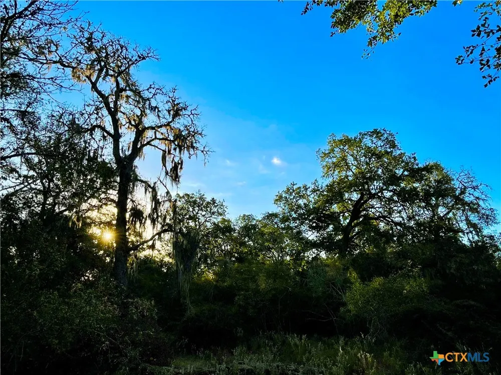 FM 530 Hallettsville, TX 77964
