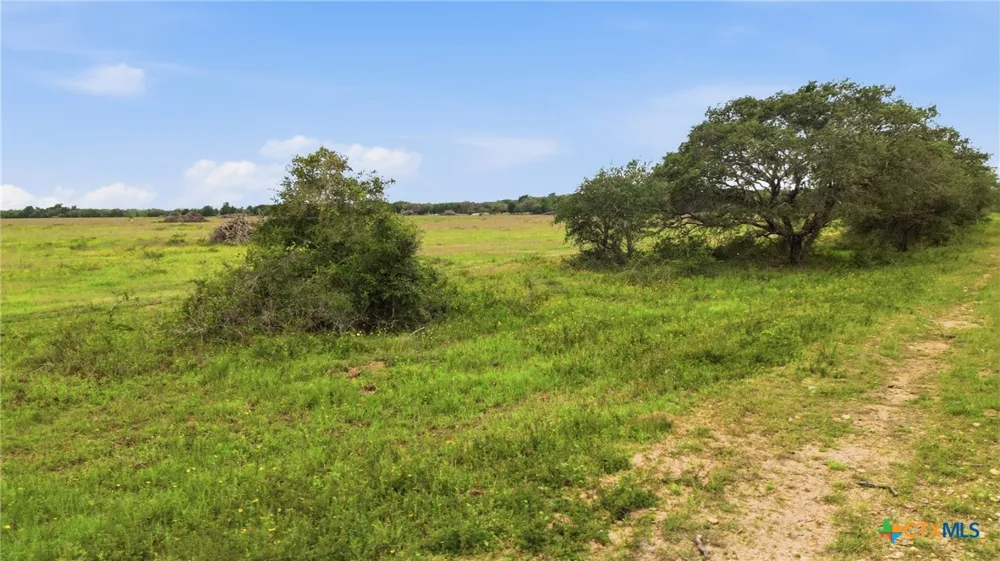 FM 530 Hallettsville, TX 77964