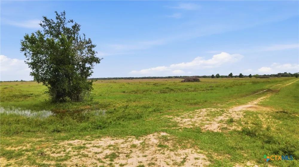 FM 530 Hallettsville, TX 77964