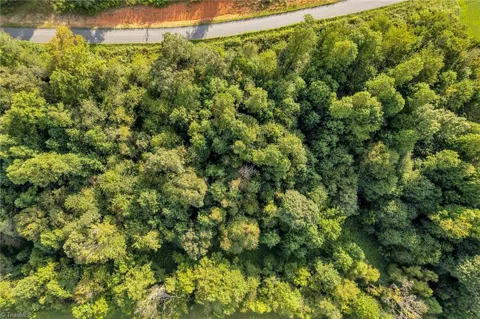 Lot 19 Regal Oaks Drive