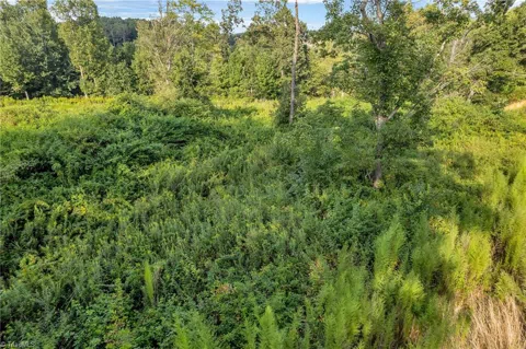 Lot 24 Regal Oaks Drive