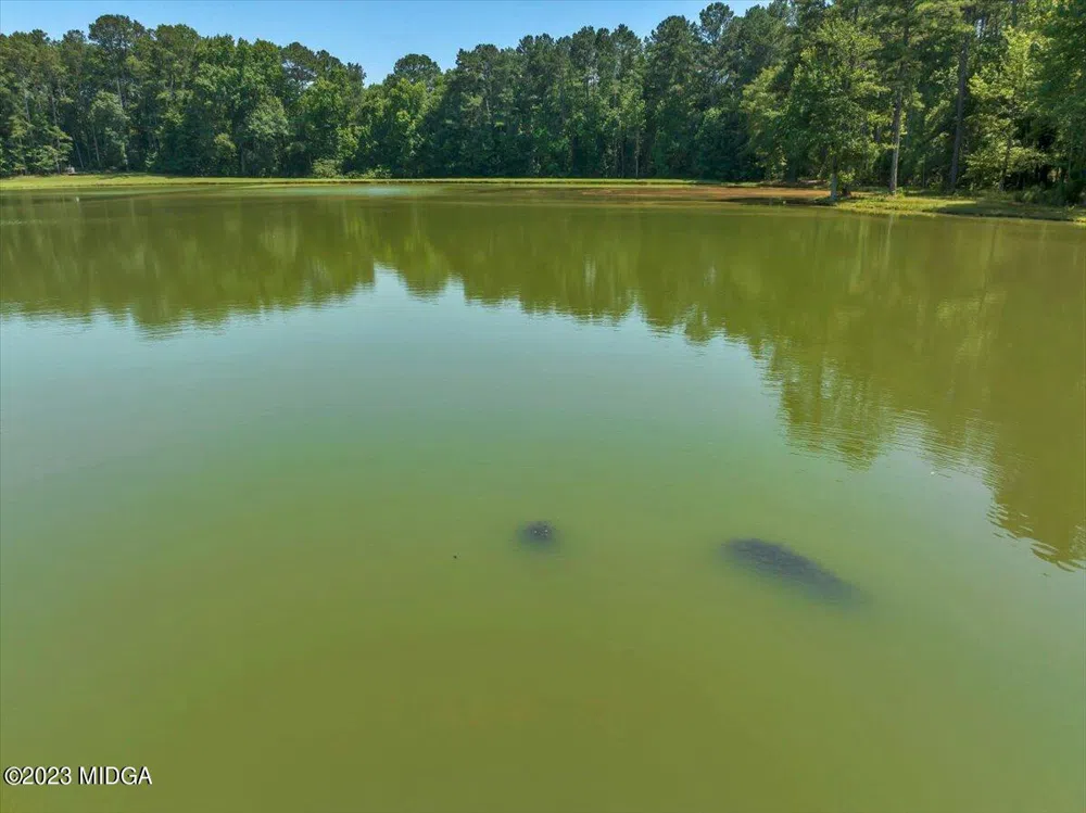 655 McDonough Rd Road Hampton, GA 30228