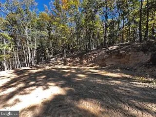 0 LOWER ARKANSAS ROAD Baker, WV 26801