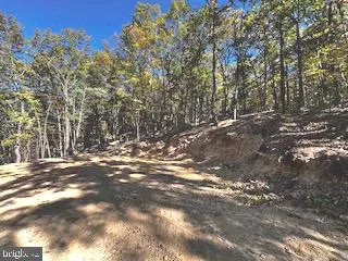 0 LOWER ARKANSAS ROAD Baker, WV 26801