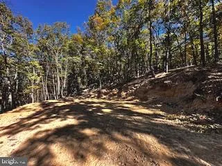 0 LOWER ARKANSAS ROAD Baker, WV 26801