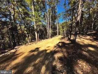 0 LOWER ARKANSAS ROAD Baker, WV 26801