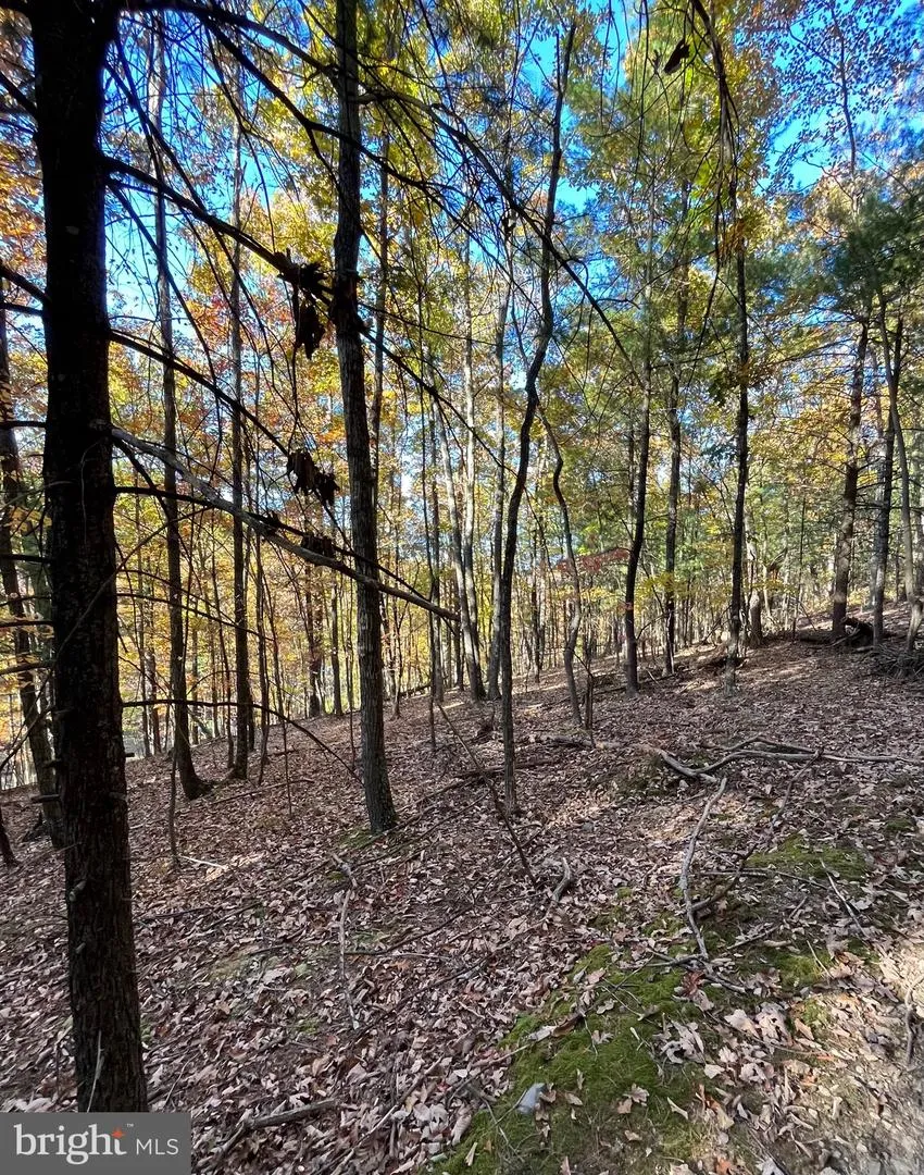 0 LOWER ARKANSAS ROAD Baker, WV 26801