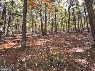 0 LOWER ARKANSAS ROAD Baker, WV 26801