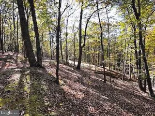 0 LOWER ARKANSAS ROAD Baker, WV 26801