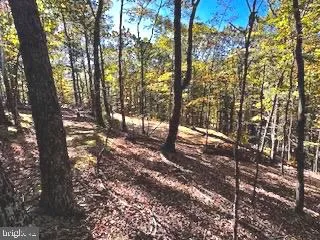 0 LOWER ARKANSAS ROAD Baker, WV 26801