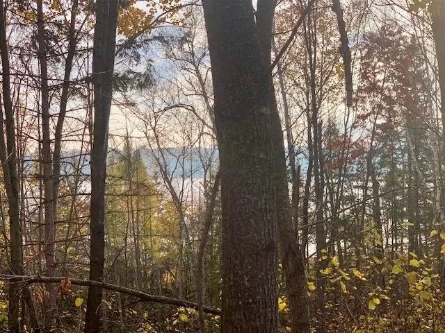 TBD New Paradise Point Drive - Lot 7 Lake George, MN 56458