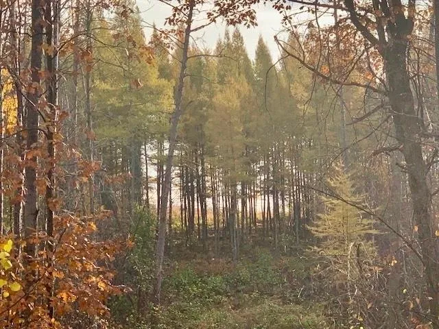 TBD New Paradise Point Drive - Lot 7 Lake George, MN 56458