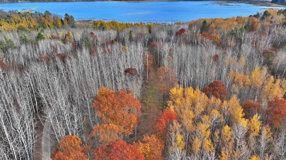 TBD New Paradise Point Drive - Lot 7 Lake George, MN 56458