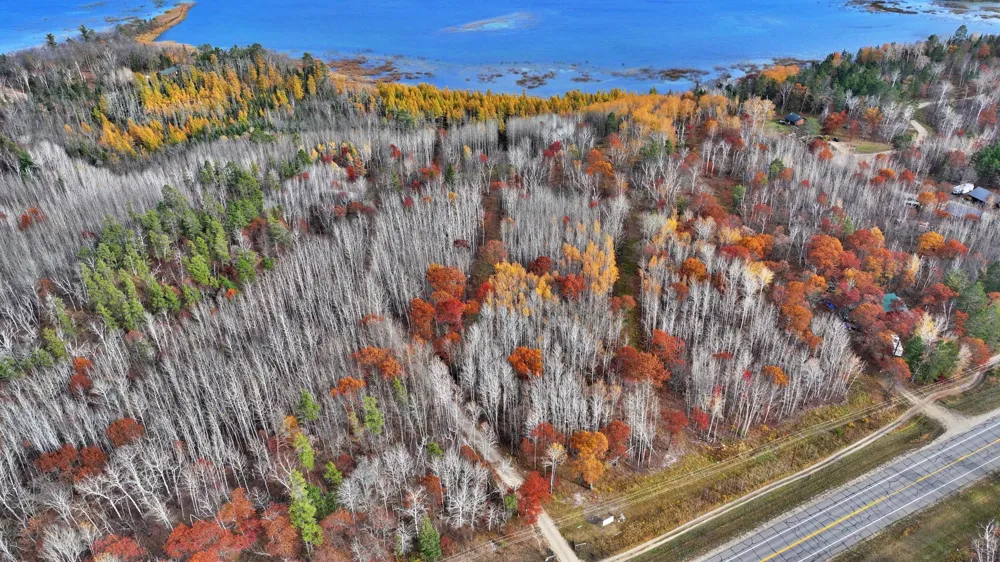 TBD New Paradise Point Drive - Lot 7 Lake George, MN 56458
