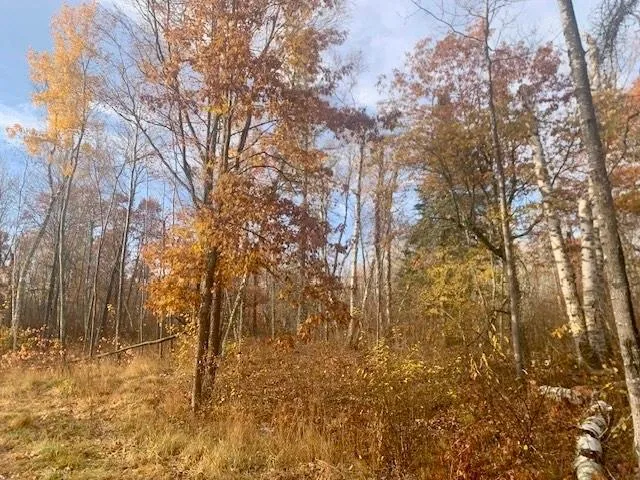 TBD New Paradise Point Drive - Lot 8 Lake George, MN 56458
