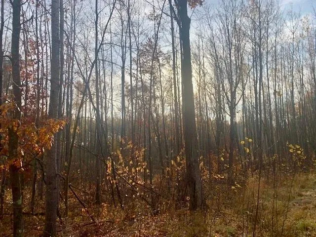 TBD New Paradise Point Drive - Lot 8 Lake George, MN 56458